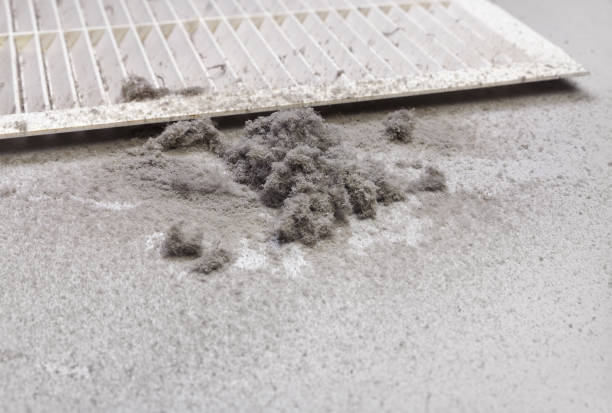Best HVAC Duct Inspection Services  in Albany, TX
