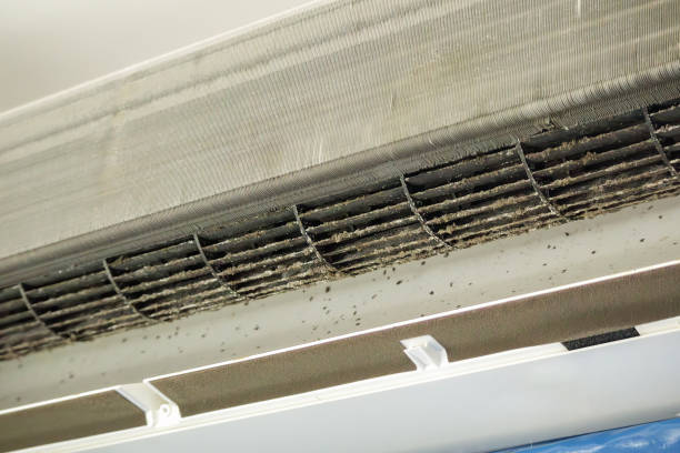 Best Commercial Air Duct Cleaning  in Albany, TX
